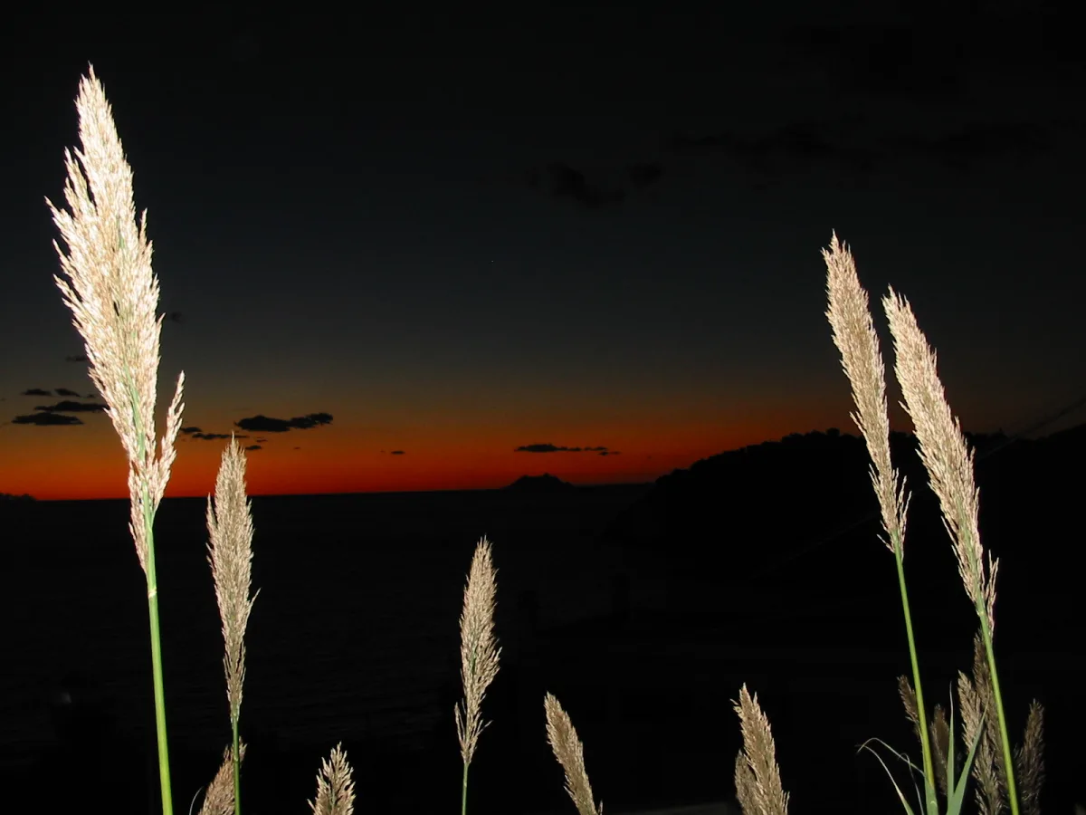 Notte Bianca di Sperlonga Sperlonga 2026: date e programma da conoscere